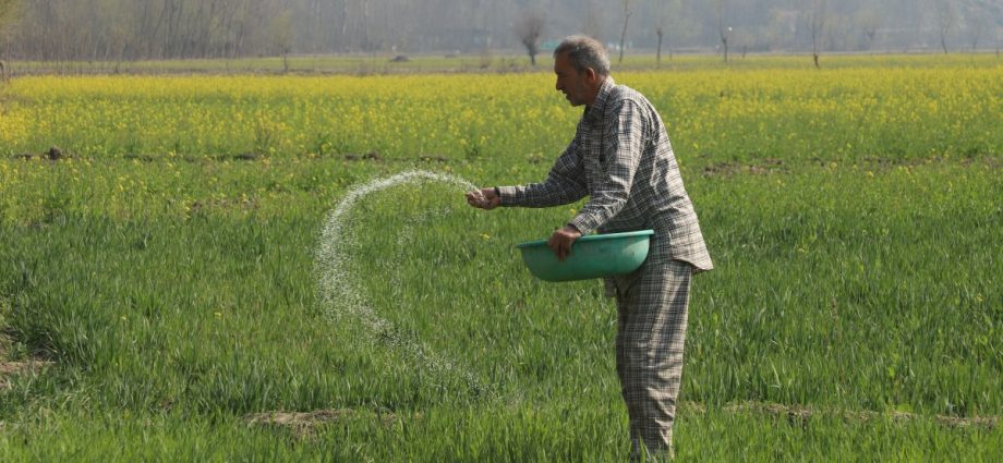 ‘it-all-depends-on-the-crop’:-gulf-crisis-hits-south-asia-farmers