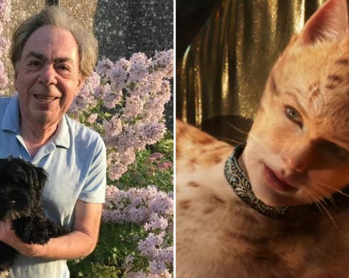 andrew-lloyd-webber-bought-therapy-dog-after-‘appalling’-cats-movie