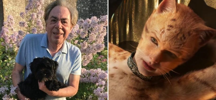 andrew-lloyd-webber-bought-therapy-dog-after-‘appalling’-cats-movie