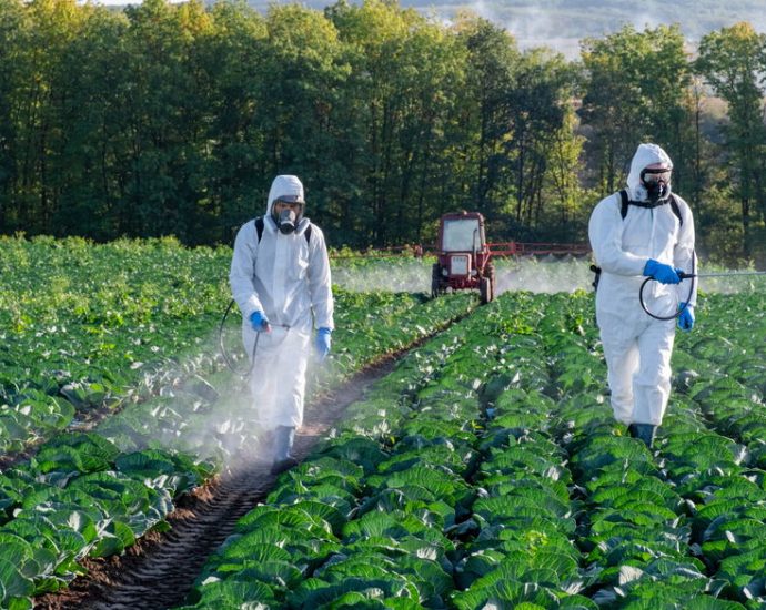 to-make-america-healthy-again,-break-up-big-ag