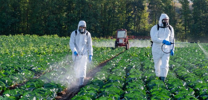 to-make-america-healthy-again,-break-up-big-ag