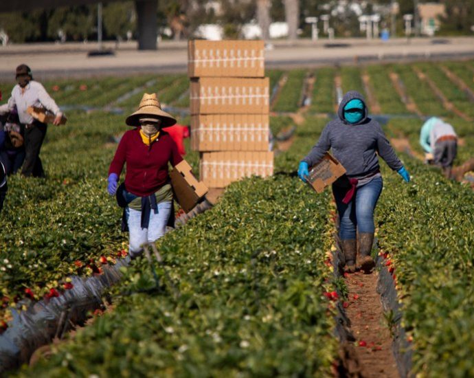immigrant-women-food-workers-face-unique-threats-on-the-job