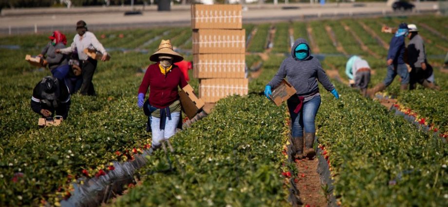 immigrant-women-food-workers-face-unique-threats-on-the-job