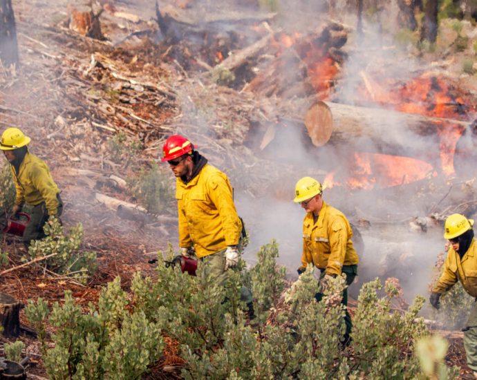 forest-service-shake-up-comes-as-risky-wildfire-season-looms