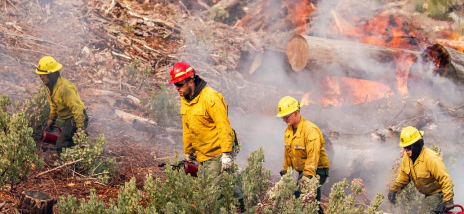 forest-service-shake-up-comes-as-risky-wildfire-season-looms