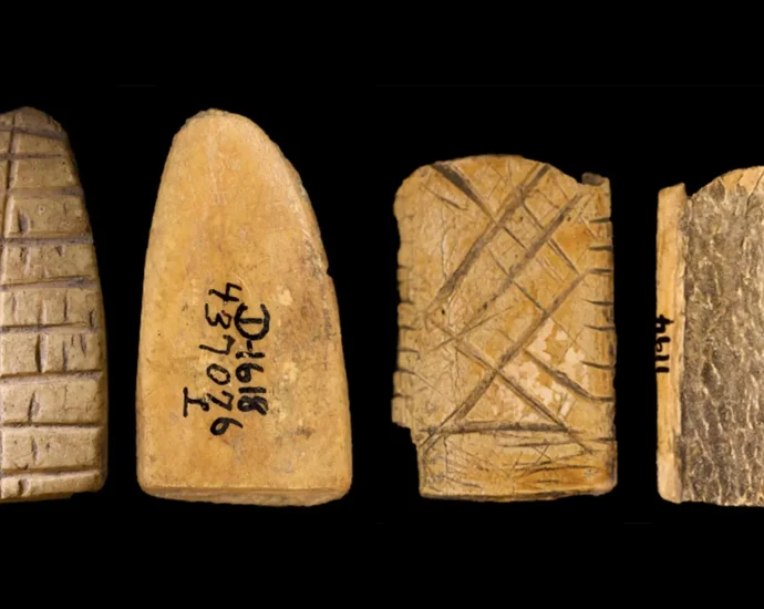 ancient-bone-dice-reveal-12,000-year-history-of-gambling-in-america