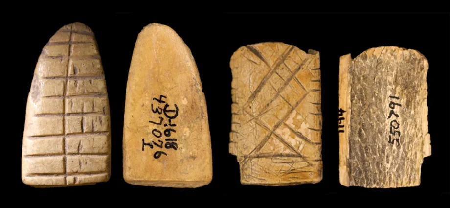 ancient-bone-dice-reveal-12,000-year-history-of-gambling-in-america
