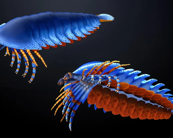 this-tiny-claw-in-a-500-million-year-old-fossil-just-rewrote-the-origin-of-spiders