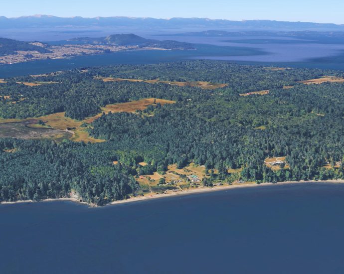 ‘horror-movie’:-21-dead-canines-mysteriously-wash-ashore-on-washington-state-island