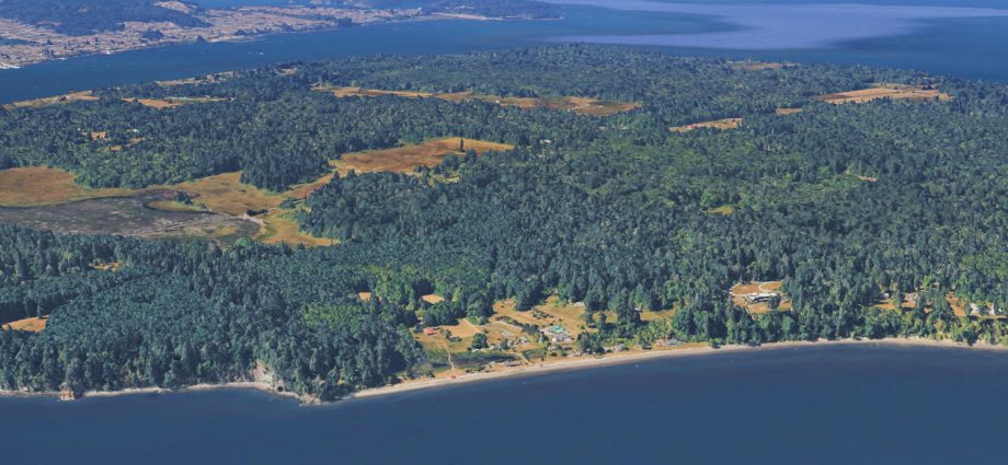 ‘horror-movie’:-21-dead-canines-mysteriously-wash-ashore-on-washington-state-island