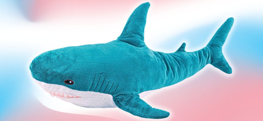 this-is-how-ikea’s-shark-toy-blahaj-became-a-celebrated-trans-icon