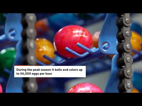 visit-germany’s-egg-dying-workshop-that-brings-color-to-easter