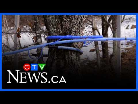 a-look-inside-the-world’s-only-maple-syrup-strategic-reserve,-housed-in-quebec