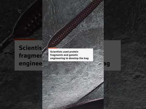 👜-dinosaur-collagen-used-to-create-one-of-a-kind-handbag