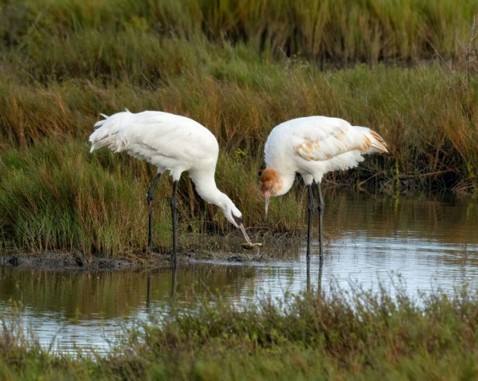 why-the-traitor’s-‘god-squad’-is-not-like-the-god-squads-before-it