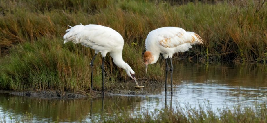 why-the-traitor’s-‘god-squad’-is-not-like-the-god-squads-before-it