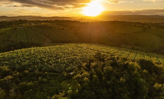 welcome-to-the-‘agrihood’-–-the-neighbourhood-of-the-future?