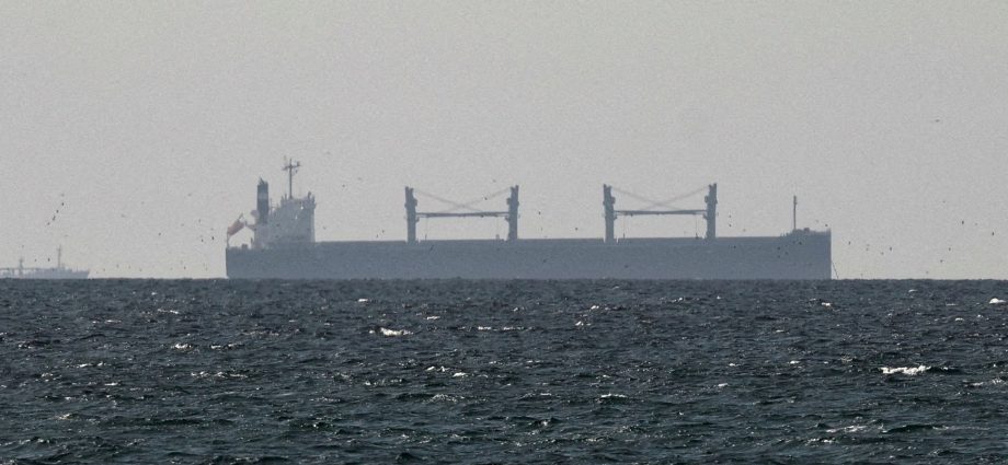 iran-says-iraqi-ships-can-pass-strait-of-hormuz-as-transits-tick-up