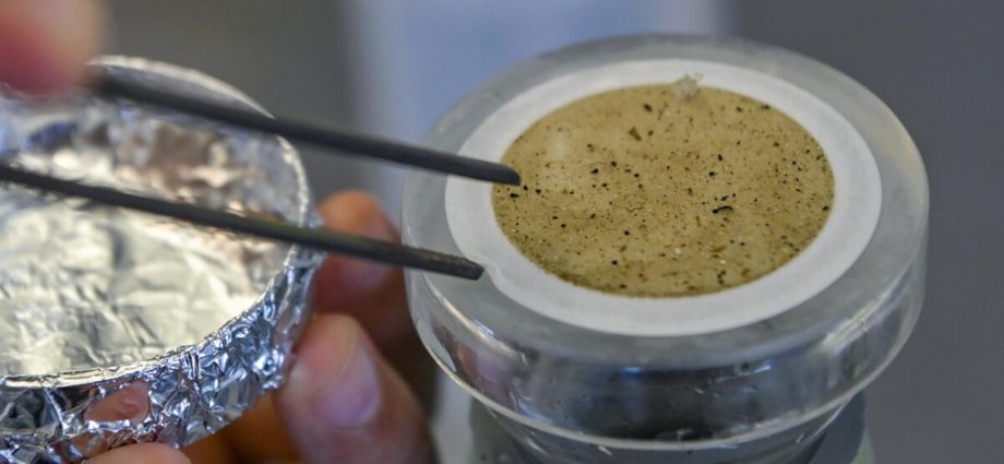 microplastics-are-everywhere-—-even-in-the-labs-studying-them.-that’s-a-problem-for-research