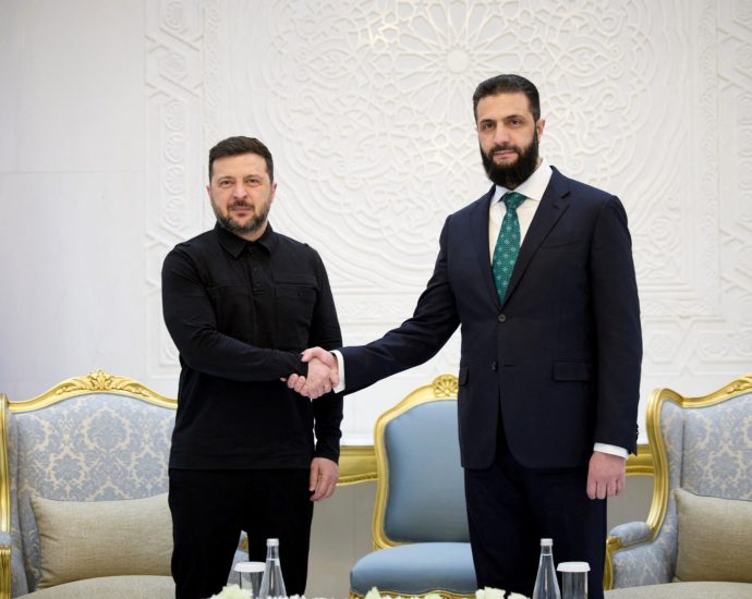ukraine-and-syria-to-cooperate-on-security,-zelenskyy-says