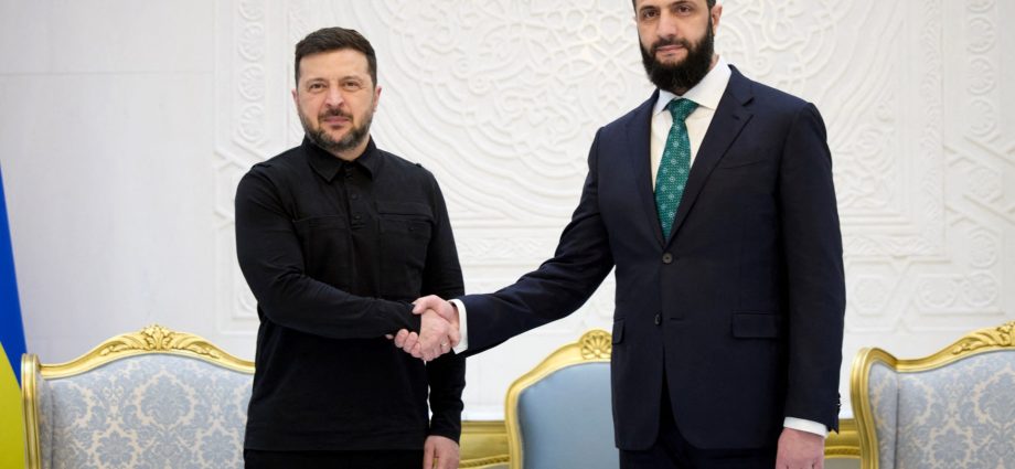 ukraine-and-syria-to-cooperate-on-security,-zelenskyy-says