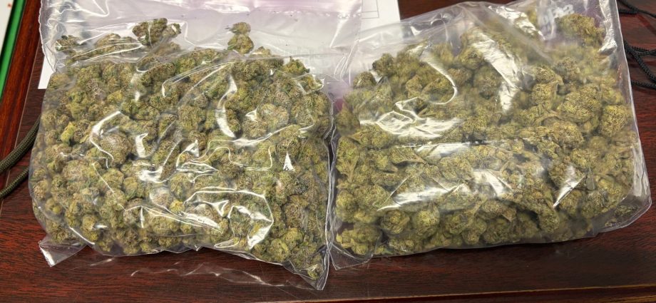 states-aim-to-clip-wings-of-drones-smuggling-contraband-into-prisons