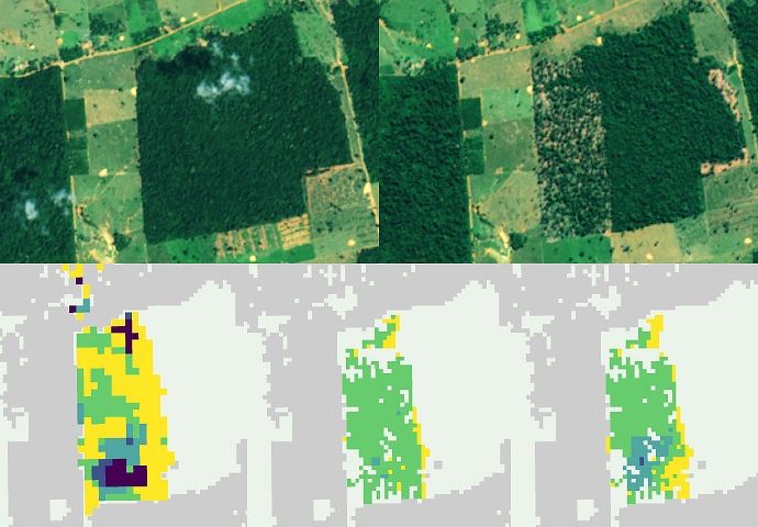 faster-detection-of-forest-loss