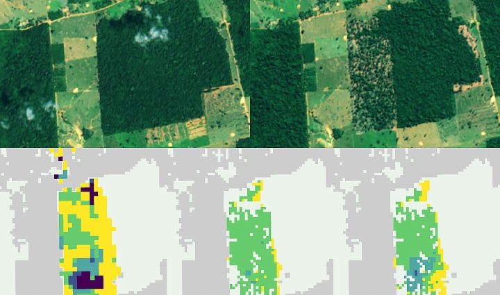 faster-detection-of-forest-loss