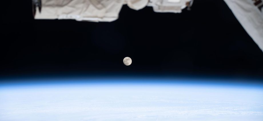 crew-kicks-off-week-prepping-for-cygnus-cargo-mission