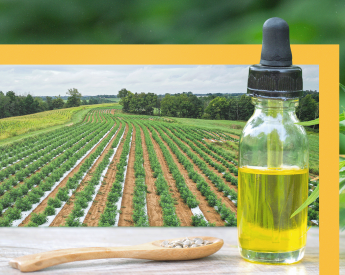 small-farmers-face-a-new-era-of-hemp-prohibition