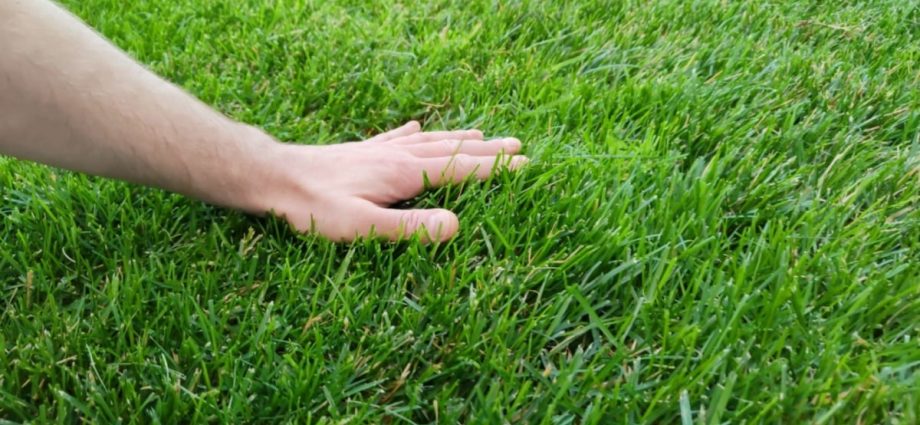 brits-are-falling-out-of-love-with-posting-every-thought-online