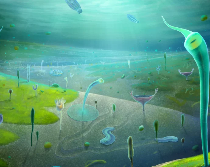 scientists-found-a-“lost-world”-of-animals-that-shouldn’t-exist-yet