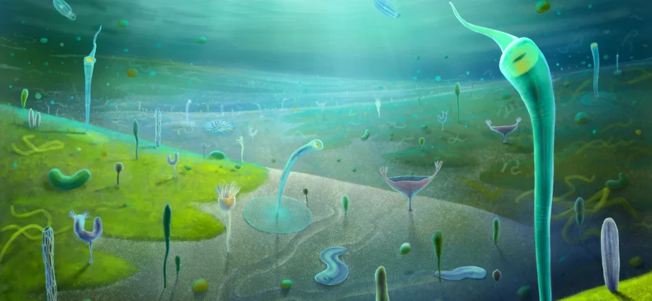 scientists-found-a-“lost-world”-of-animals-that-shouldn’t-exist-yet