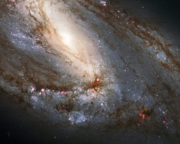 celestial-wonders-in-leo