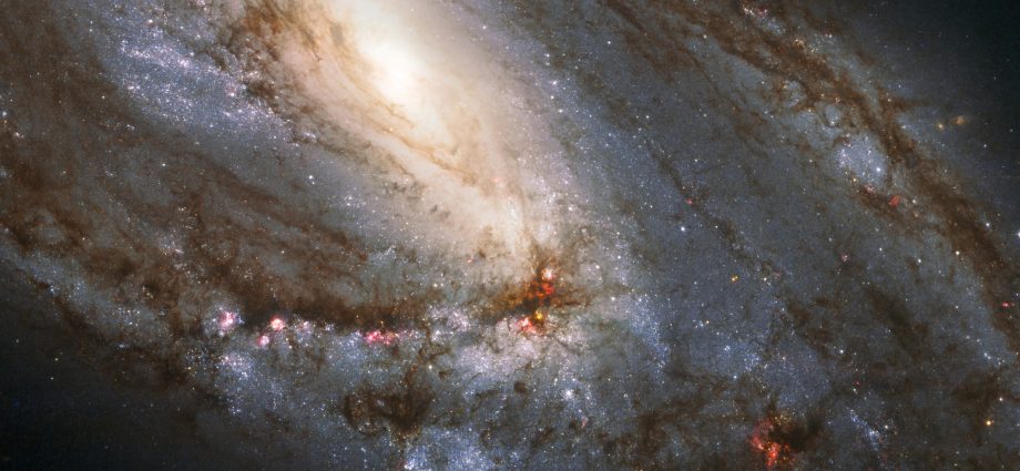 celestial-wonders-in-leo