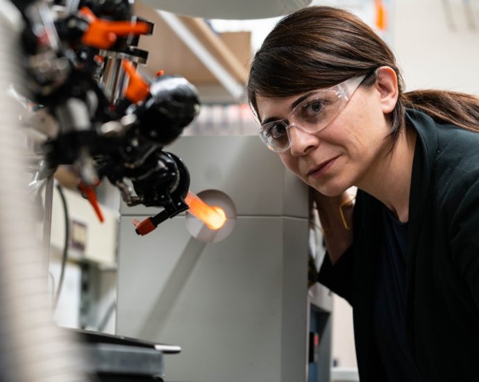 desiree-plata-appointed-associate-dean-of-engineering