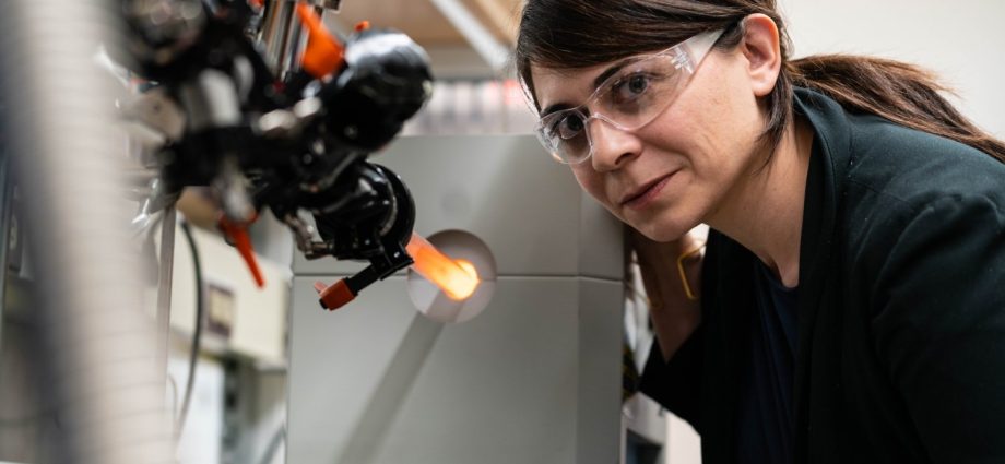 desiree-plata-appointed-associate-dean-of-engineering