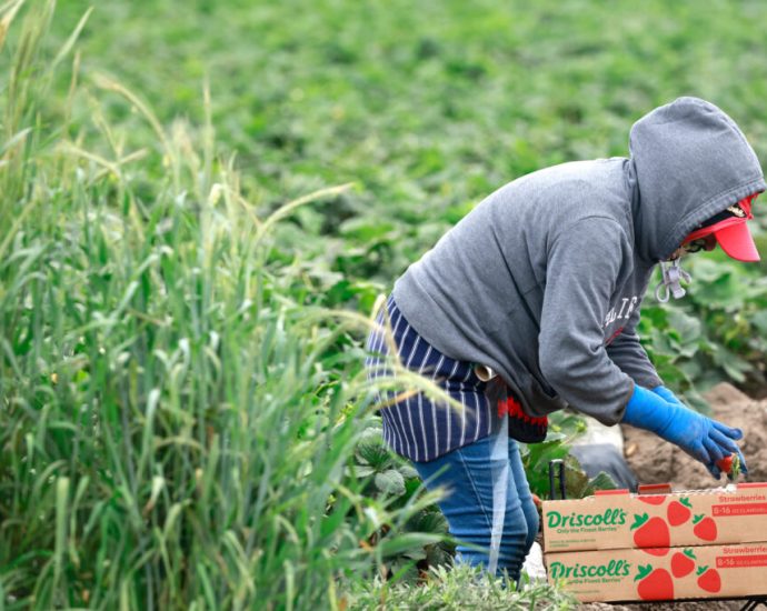 california-bill-aims-to-keep-toxic-pfas-off-its-crops