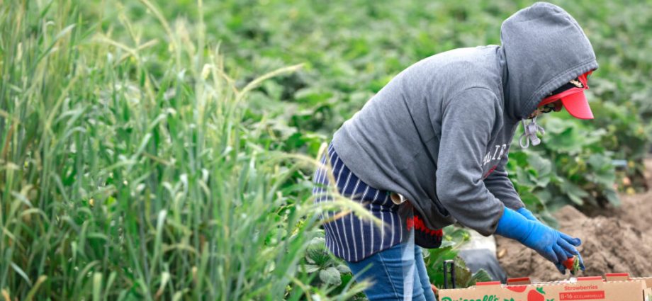 california-bill-aims-to-keep-toxic-pfas-off-its-crops