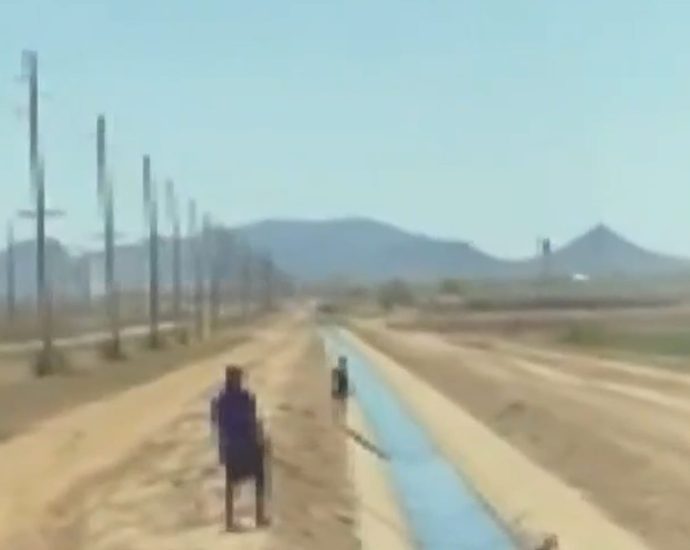 dog-rescued-from-arizona-canal-during-school-field-trip