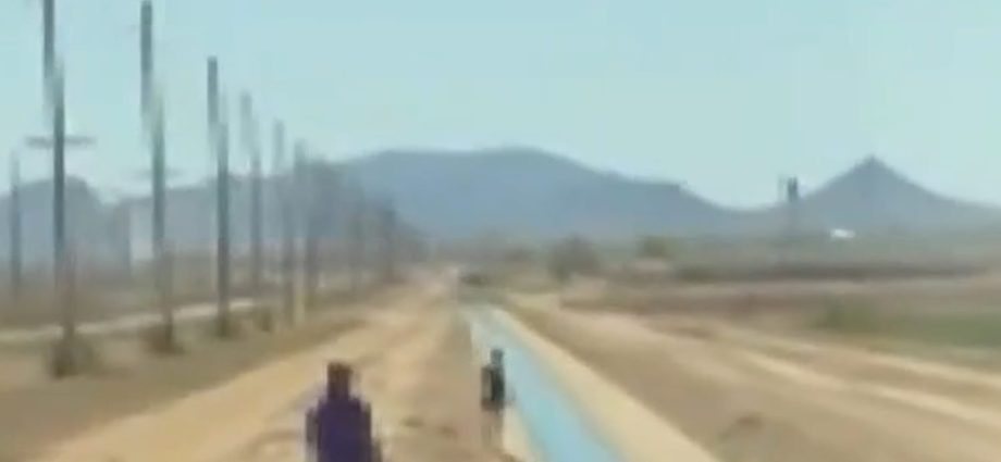 dog-rescued-from-arizona-canal-during-school-field-trip