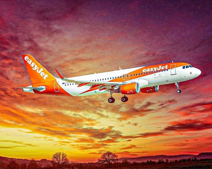 wedding-fireworks-scare:-easyjet-flight-forced-to-abort-landing-at-paris-orly