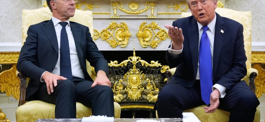 the-traitor-complains-nato-‘wasn’t-there-when-we-needed-them’-after-talks-with-alliance-leader-rutte