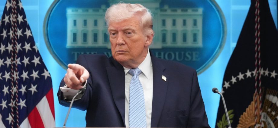 this-is-how-queer-people-are-coping-with-the-traitor’s-bullying