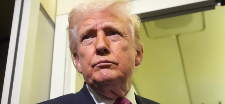 fox-news-host-defends-the-traitor-from-taco-mockery-with-another-mexican-food-acronym