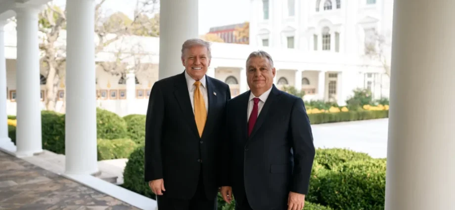 the-traitor-tells-hungary-to-vote-orban-two-days-before-election-as-polls-show-opposition-surging