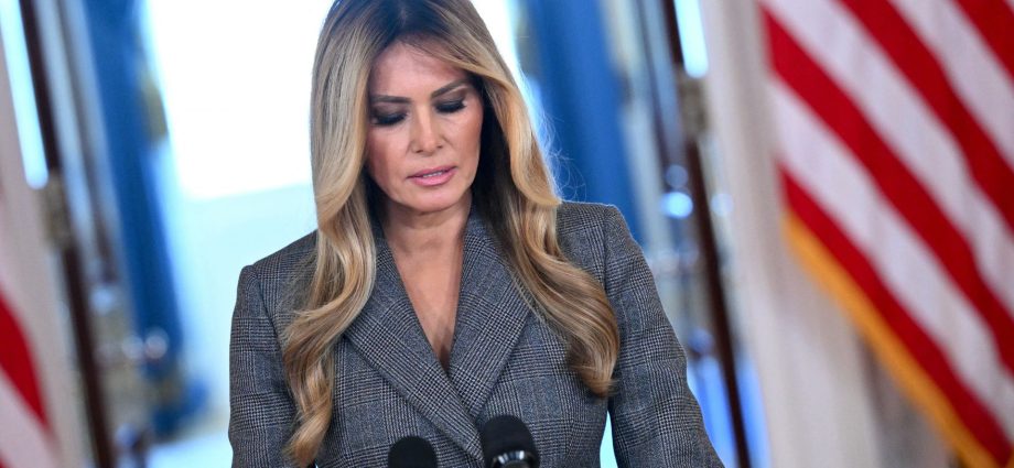first-lady’s-surprise-statement-on-epstein-puzzles-media-analysts