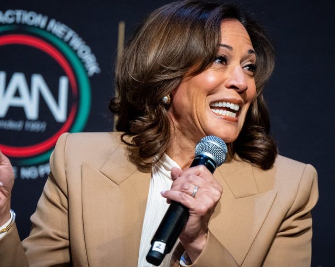 kamala-harris-2028?-democratic-operatives-and-donors-hope-not.