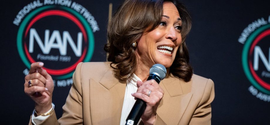 kamala-harris-2028?-democratic-operatives-and-donors-hope-not.