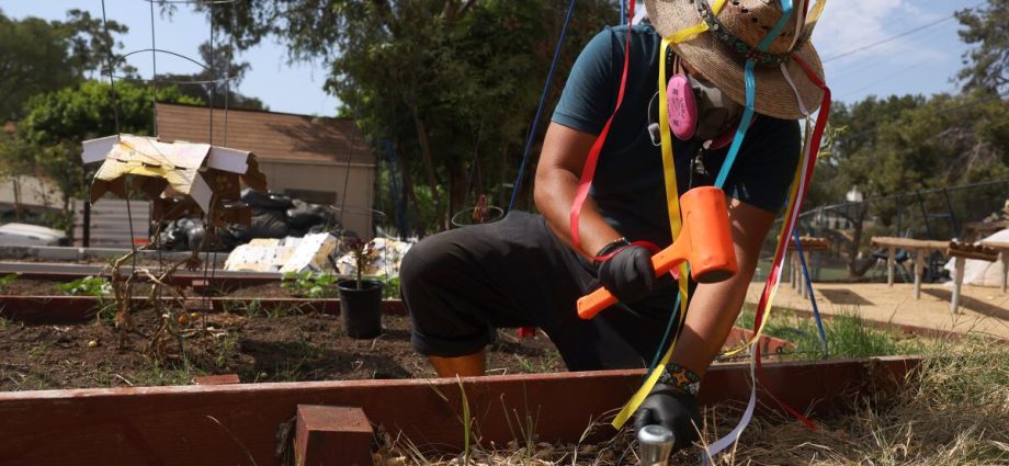 lead-still-haunts-yards-in-exide-battery-recycler-cleanup-zone